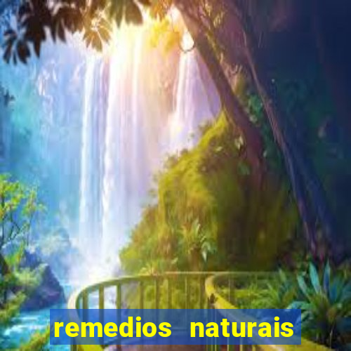 remedios naturais para diabetes